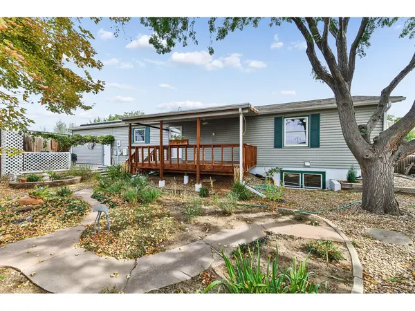 100 Flora, Frederick, CO 80530