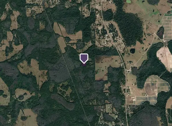 PAS LN, Polk City, FL 33868
