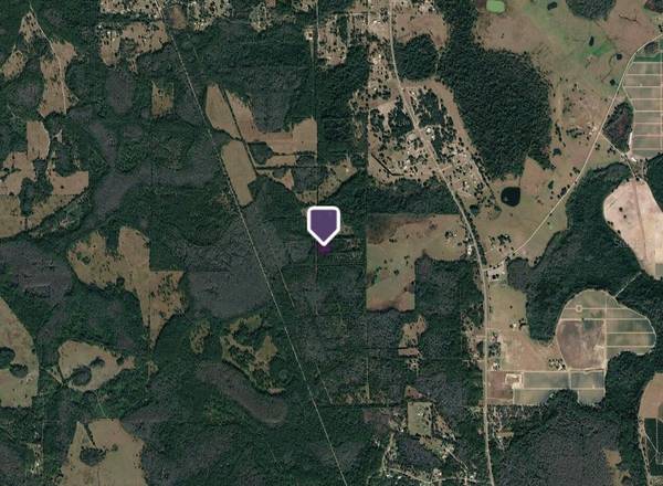 PAS LN, Polk City, FL 33868