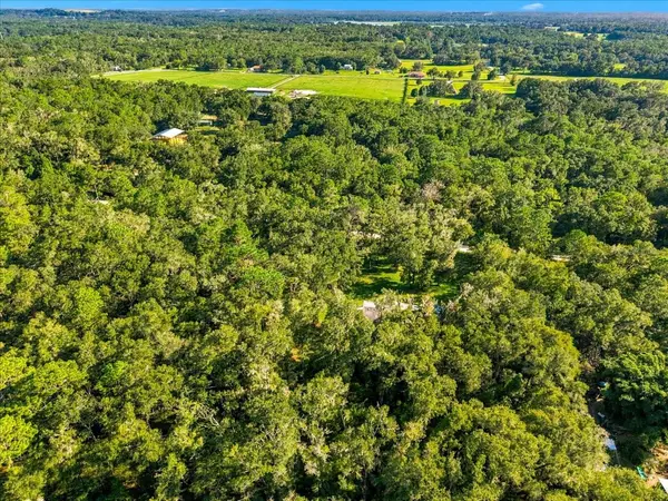 24403 MCCAW RD, Brooksville, FL 34601