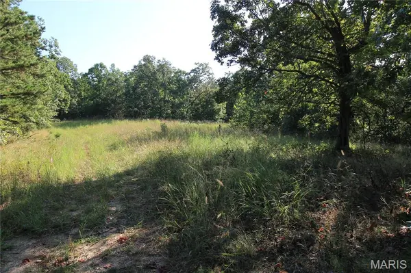000 Coldwater Creek_Lot 30, Womack, MO 63645