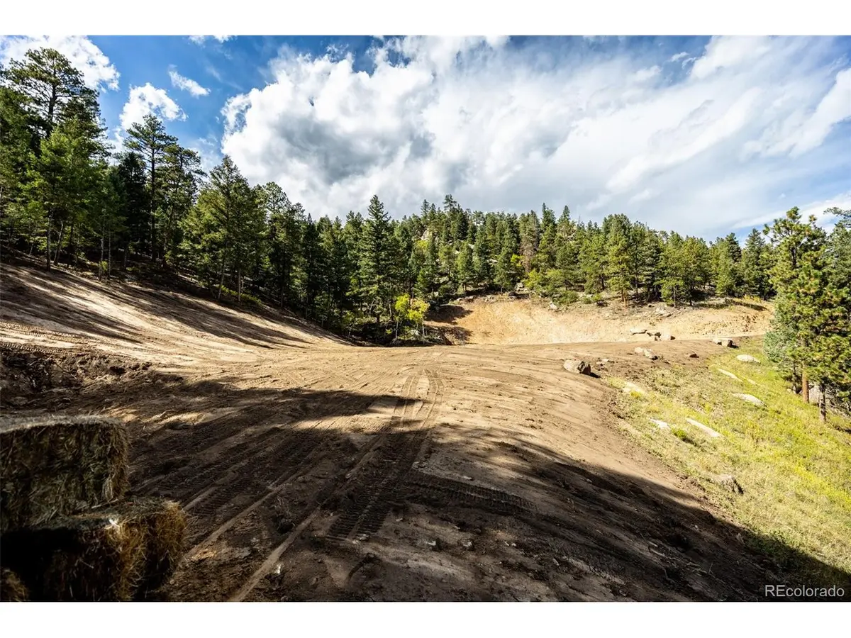9489 S Turkey Creek, Morrison, CO 80465