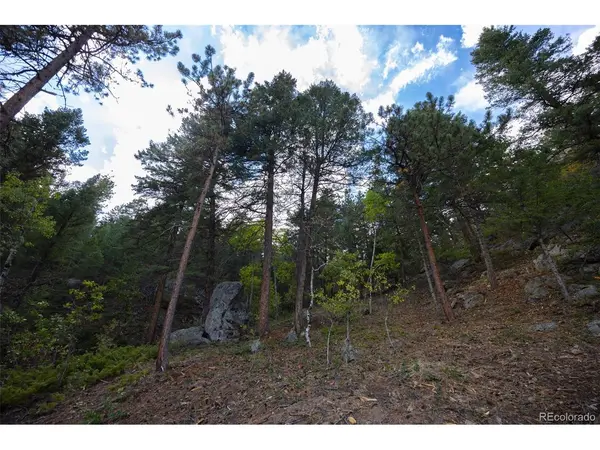 9489 S Turkey Creek, Morrison, CO 80465