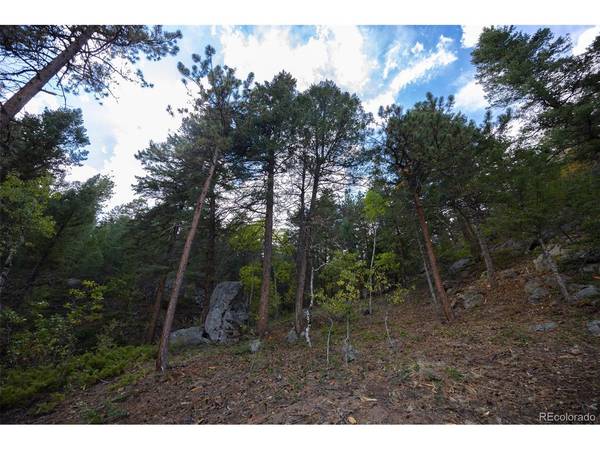 9489 S Turkey Creek, Morrison, CO 80465