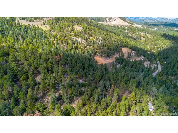 9489 S Turkey Creek, Morrison, CO 80465