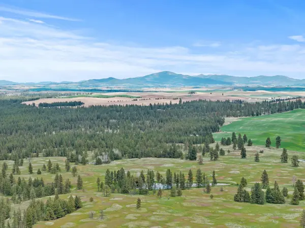 33XXX S North Pine Creek Rd, Rosalia, WA 99170