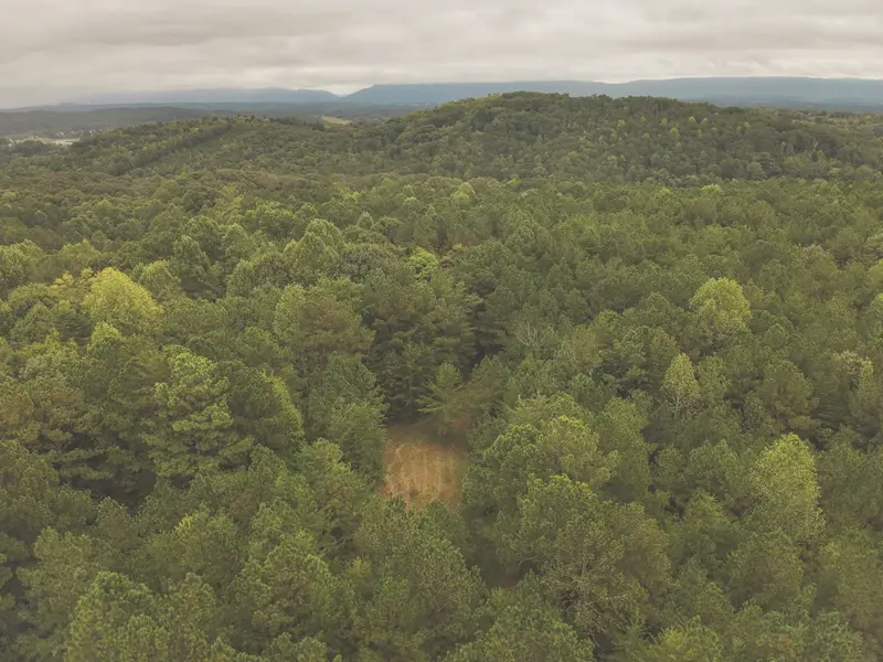 0 Deer Ridge Trail, Charleston, TN 37310