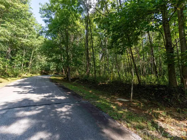 0 Cherry HL #221, Mill Spring, NC 28756