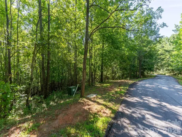 0 Cherry HL #221, Mill Spring, NC 28756