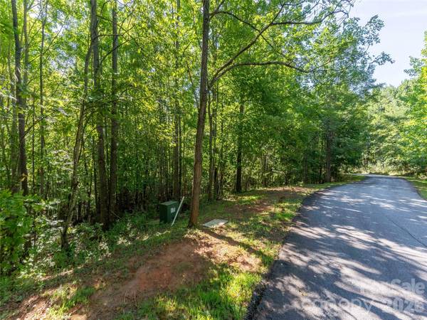 0 Cherry HL #221, Mill Spring, NC 28756