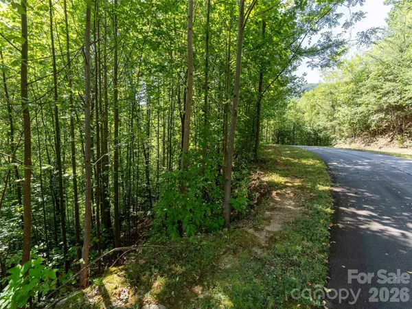 0 Anthony CT #2070, Mill Spring, NC 28756