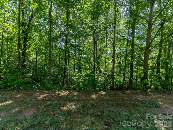 0 Anthony CT #2070, Mill Spring, NC 28756