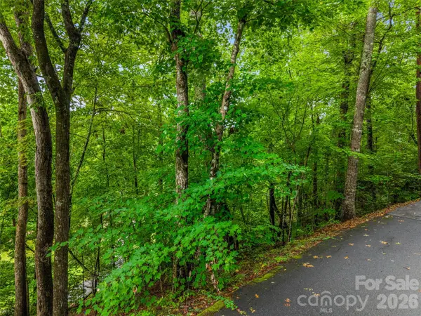 00 Huntington RD, Lake Lure, NC 28746