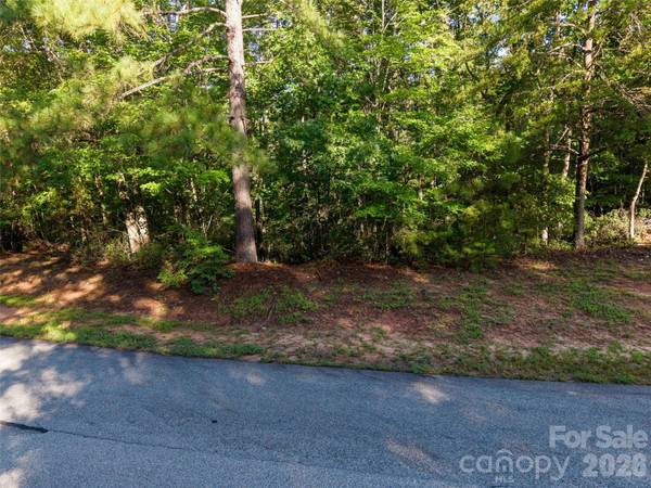 0 Woodward DR #12, Mill Spring, NC 28756