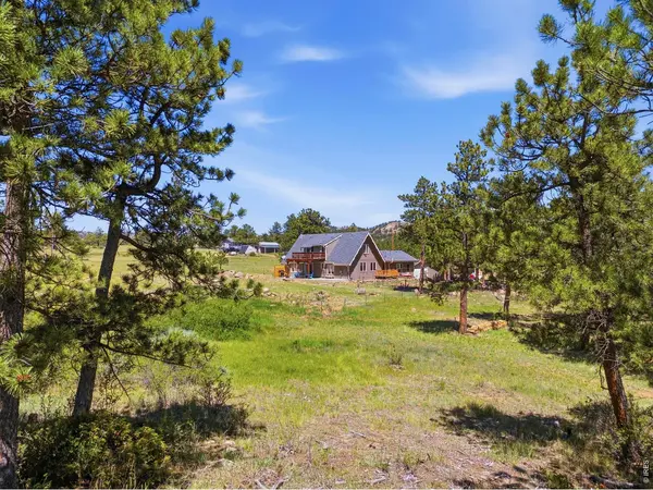 100 S Cucharas Mountain, Livermore, CO 80536