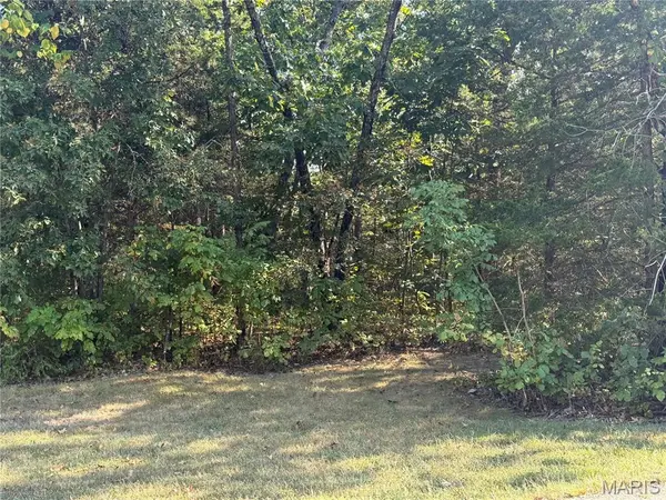 0B St. Francois, Bonne Terre, MO 63628