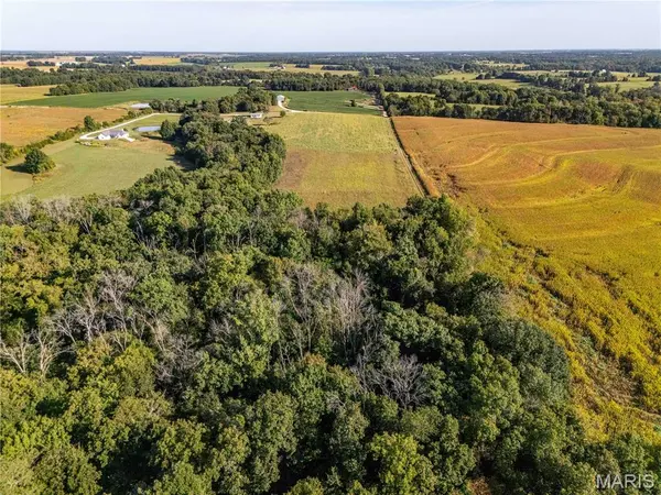 00 Pike 451, Curryville, MO 63339