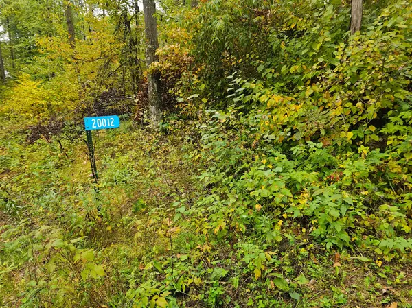 20012 Nature Trail, Ironton, MN 56455