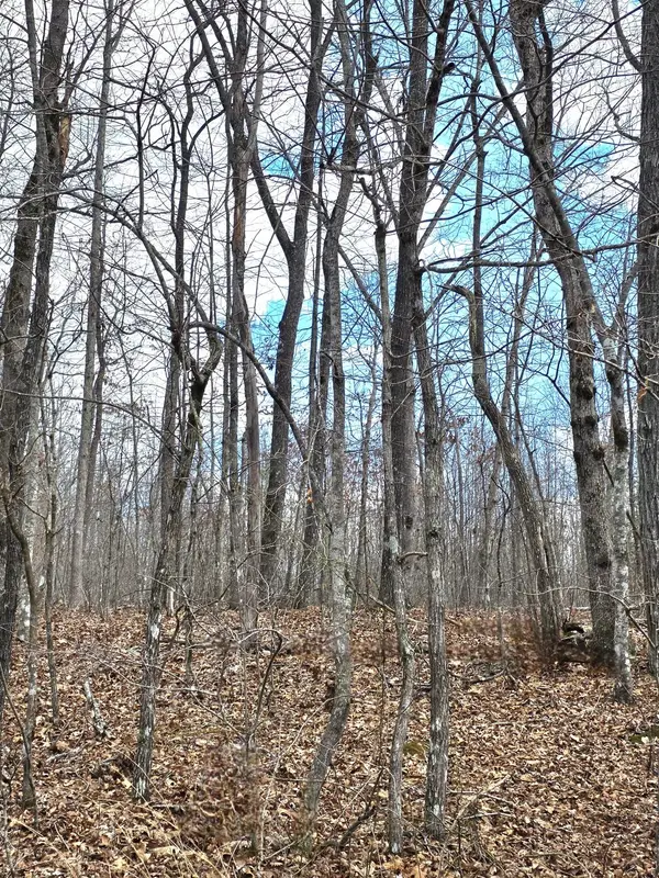 0 Diane Circle, Crossville, TN 38572