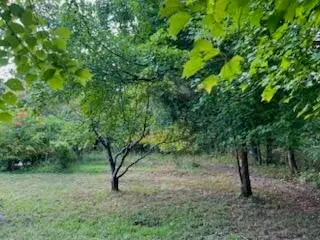 113 Bee Branch Boulevard, Signal Mountain, TN 37377