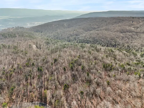 0 Tall Tree Trail, Dunlap, TN 37327
