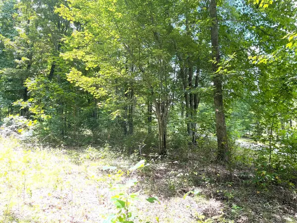 0 Roaring Creek Road, Dunlap, TN 37327