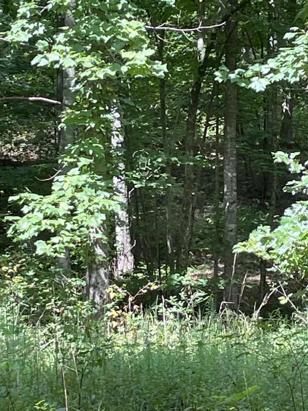 0 Roaring Creek Road, Dunlap, TN 37327