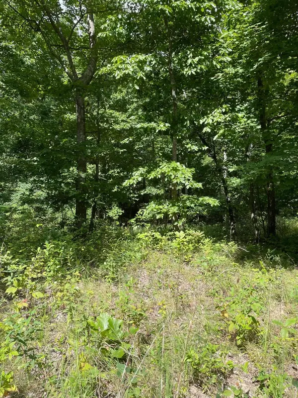 0 Roaring Creek Road, Dunlap, TN 37327