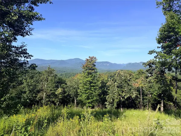 0 Summertime DR, Lake Lure, NC 28746