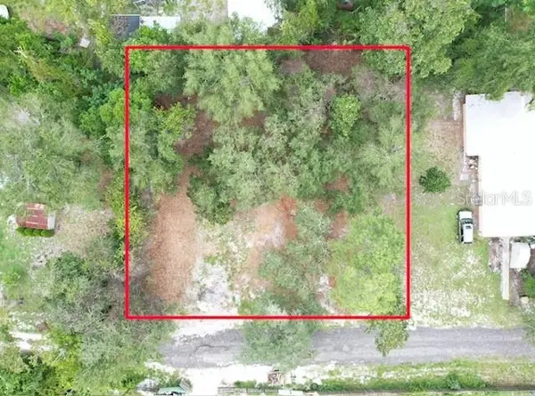 LUELLA AVE, Paisley, FL 32767