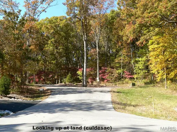 2902 Saint Albans Forest CIR, Glencoe, MO 63038