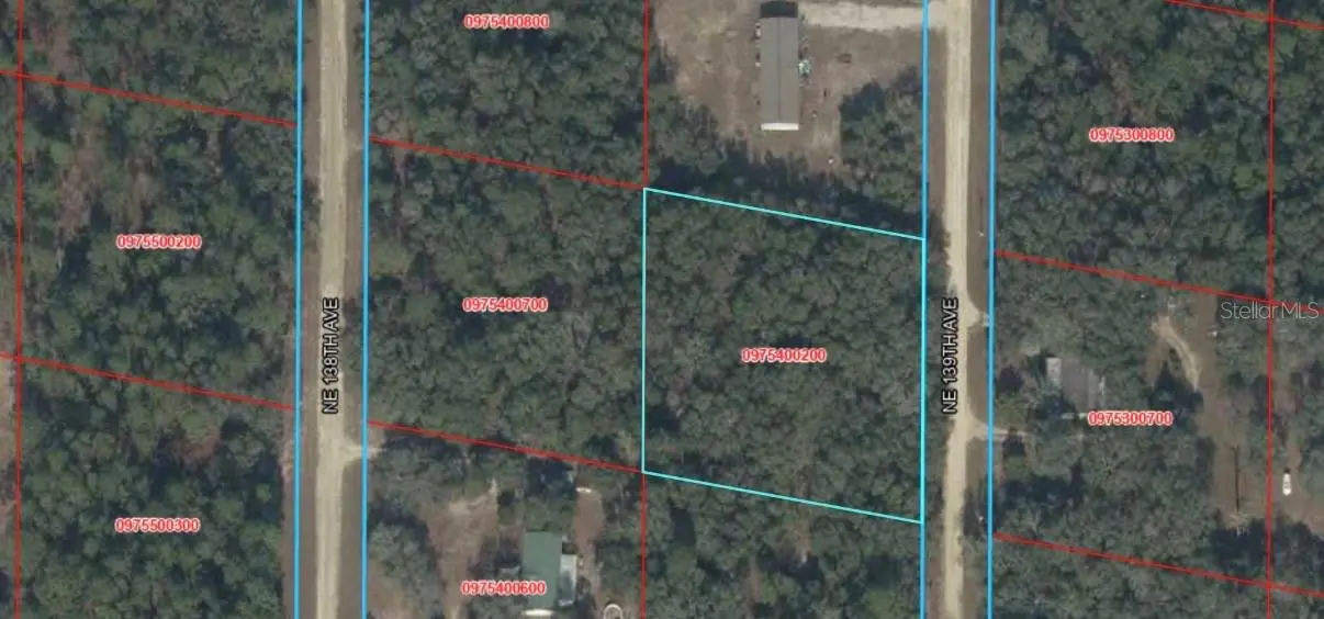 NE 139TH ST, Williston, FL 32696