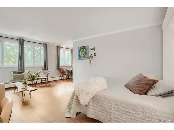 969 S Pearl #305, Denver, CO 80209