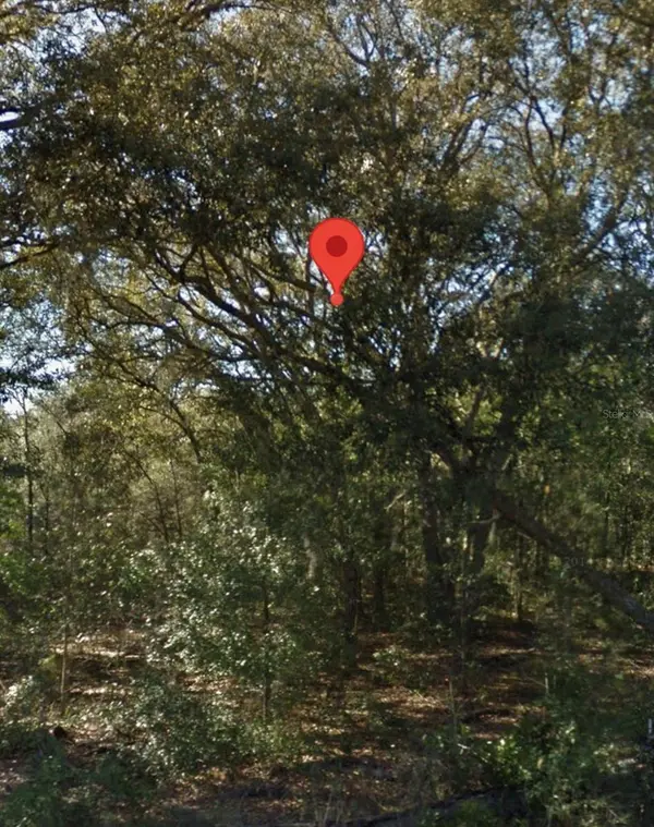 NE 139TH ST, Williston, FL 32696