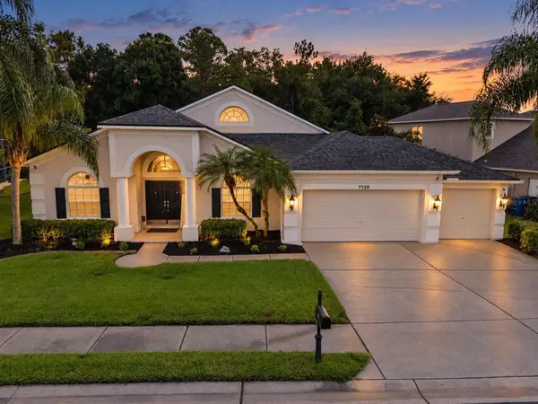 7729 ARELLI DR, Trinity, FL 34655
