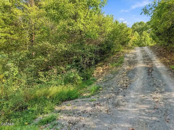 0 Green Road, Bulls Gap, TN 37711