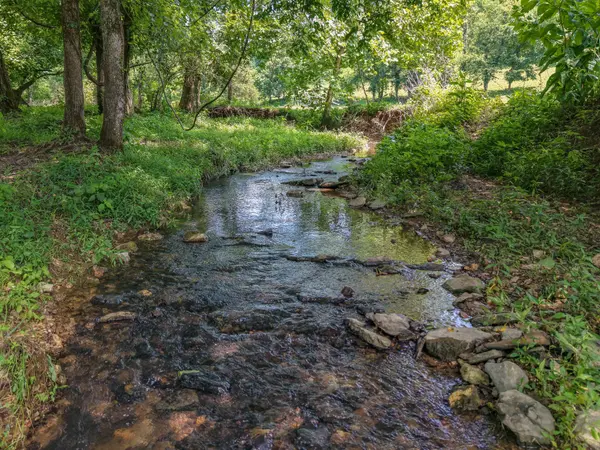 0 Cathcart Road, Frankewing, TN 38459