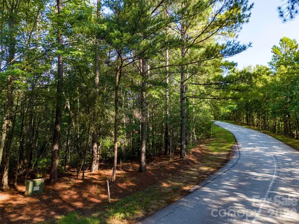0 Deep Gap Farm DR E #34, Mill Spring, NC 28756