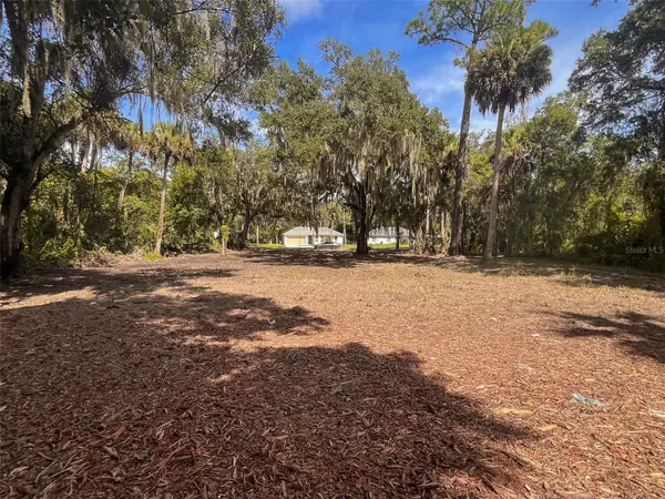 320 INGHAM RD, New Smyrna Beach, FL 32168