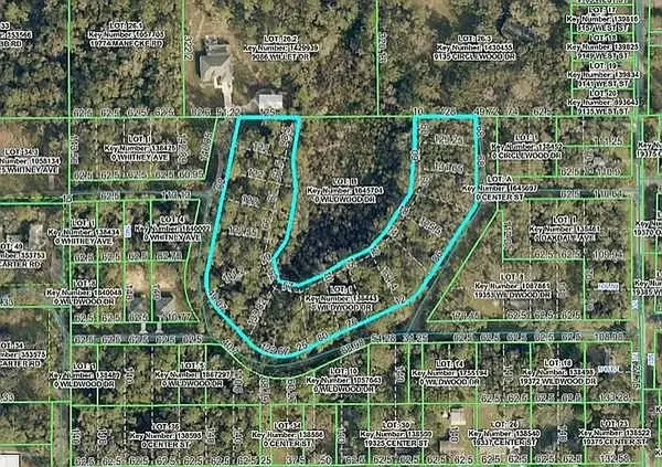 WILDWOOD DR, Brooksville, FL 34601