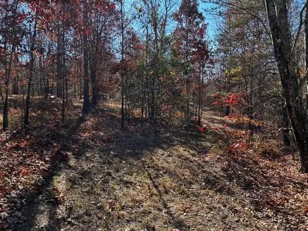 0 Hobbstown Road, Dunlap, TN 37327
