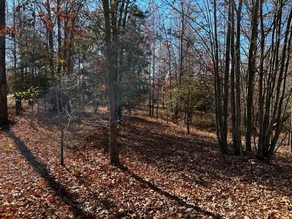 0 Hobbstown Road, Dunlap, TN 37327