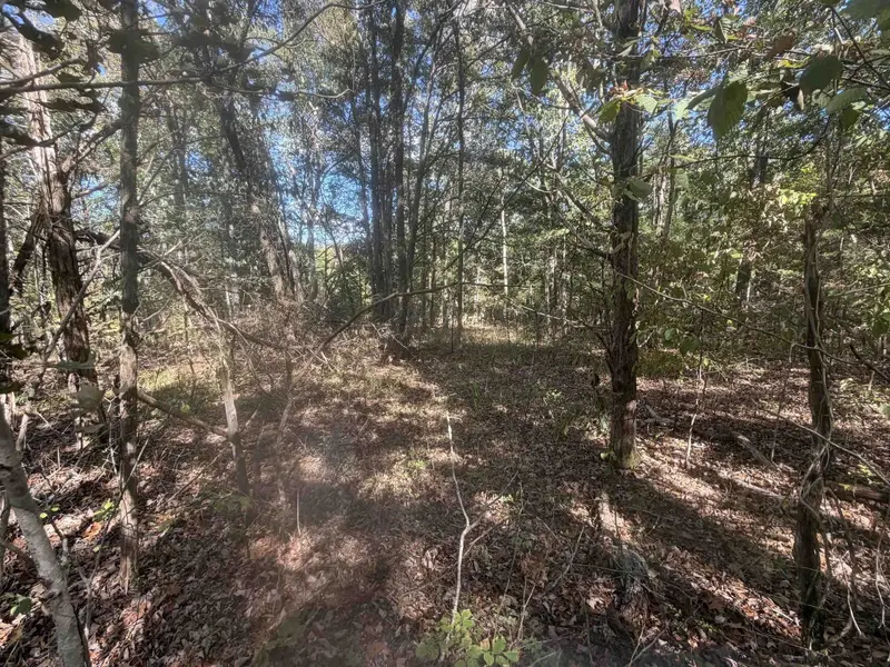 0 DOLL CONWAY RD, Clifton, TN 38425