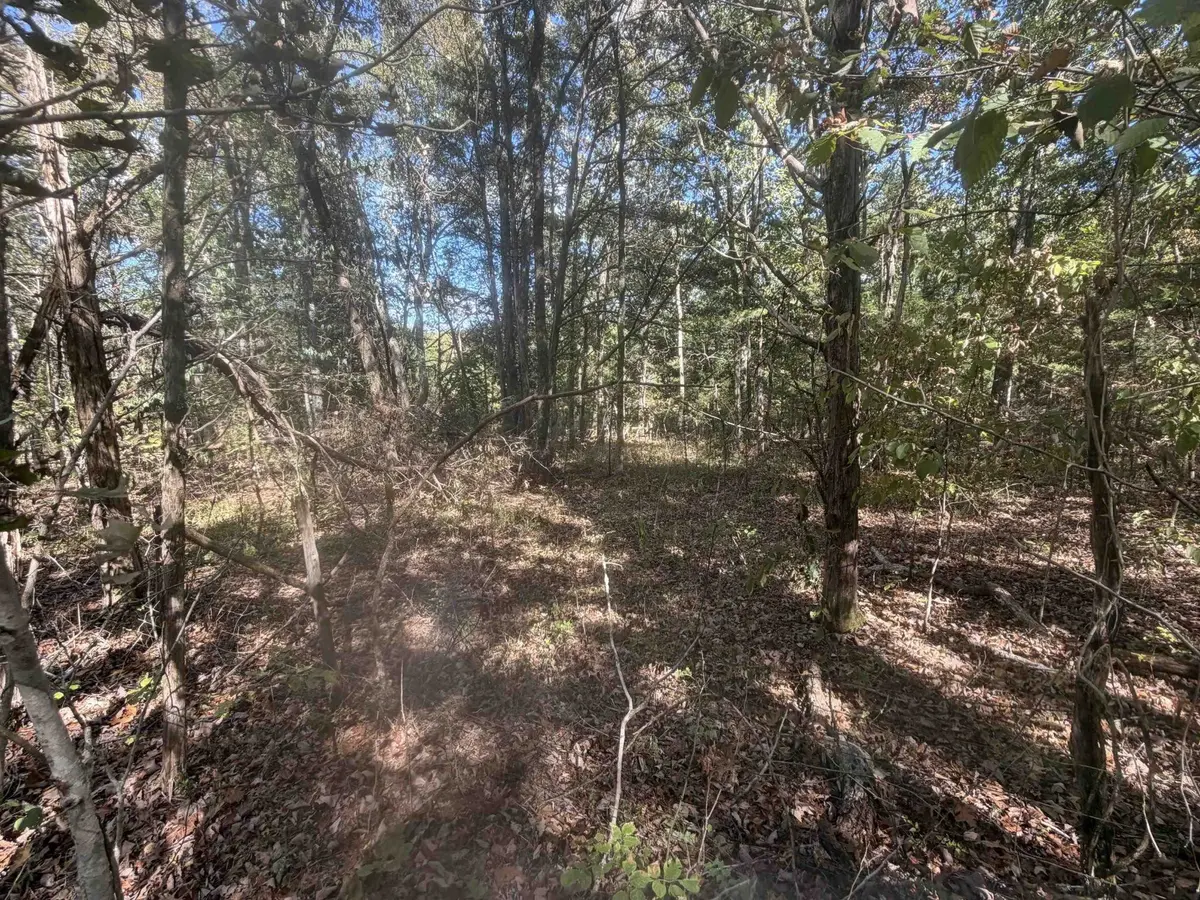 0 DOLL CONWAY RD, Clifton, TN 38425