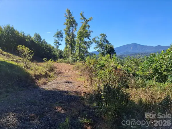 1 River Crest #1, Burnsville, NC 28714