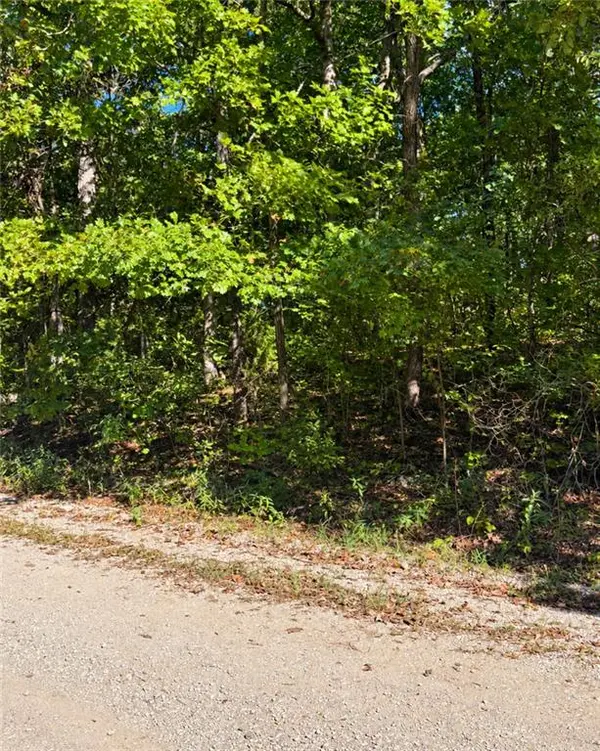 41 SE Lakeside DR, Lacygne, KS 66040