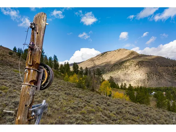 Roosevelt, Hot Sulphur Springs, CO 80451