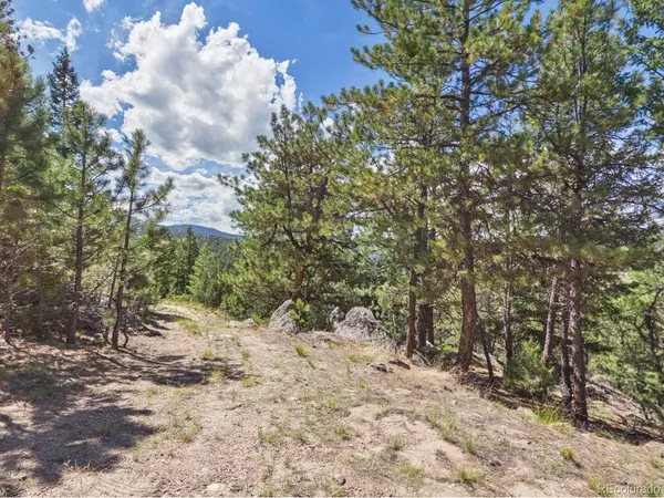 N Turkey Creek, Morrison, CO 80465