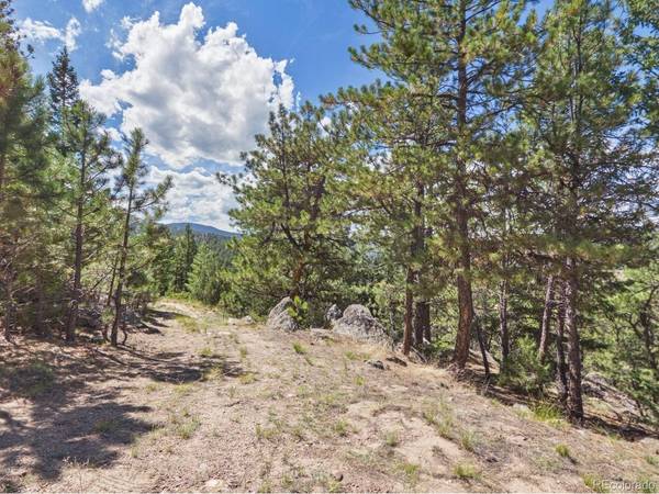 N Turkey Creek, Morrison, CO 80465