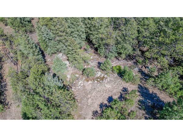 N Turkey Creek, Morrison, CO 80465